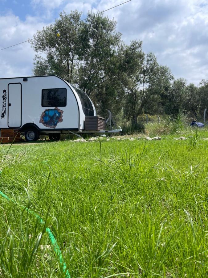 Bademli Caravan Garden Dikili Bagian luar foto